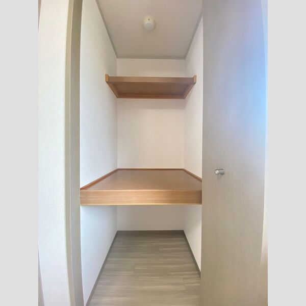 収納 (洋室②押入れ②)