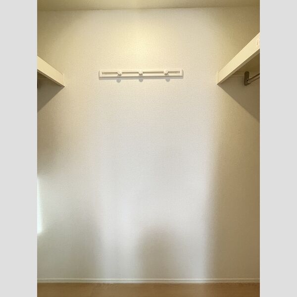 収納 (ウォークインクローゼット)