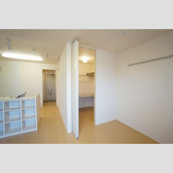 収納 (居室内ウォークインクローゼット)