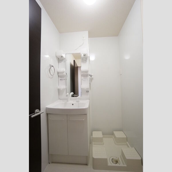 洗面所 (洗髪洗面化粧台・室内洗濯機置き場)