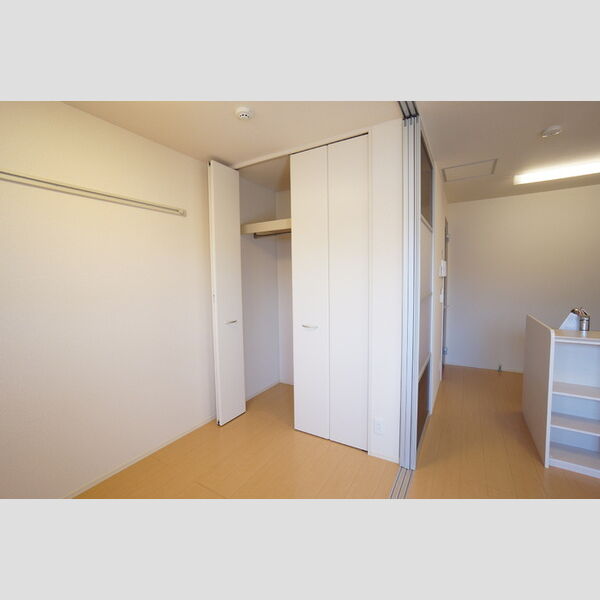 収納 (洋室内クローゼット)