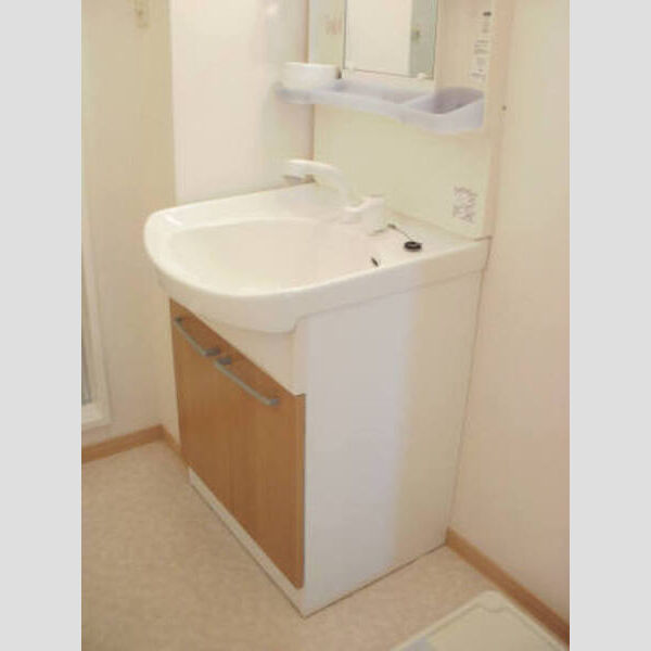 洗面所 (洗髪洗面化粧台)