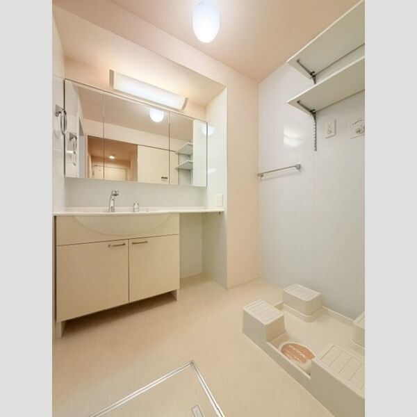 洗面所 (洗面所)