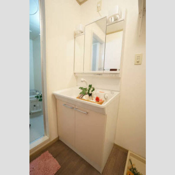 洗面所 (洗髪洗面化粧台)