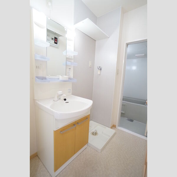 洗面所 (脱衣所内　洗髪洗面化粧台・室内洗濯機置き場)