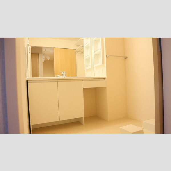 洗面所 (洗面所)