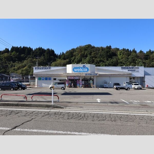 現地周辺 (ウェルシア 新潟栃尾店(1000m))