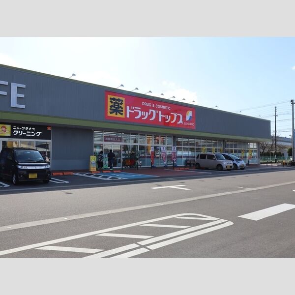 現地周辺 (ドラッグトップス城岡店(1100m))