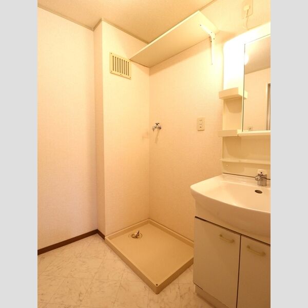 その他 (室内洗濯機置場)