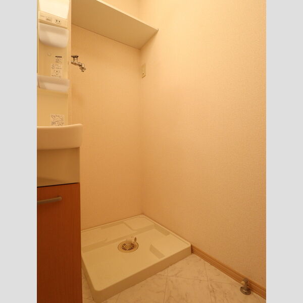 その他 (室内洗濯機置場)