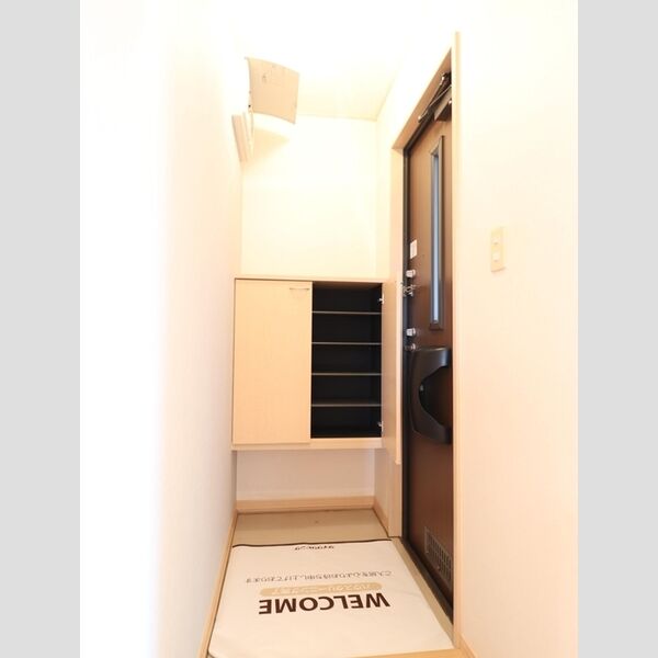 玄関 (シューズボックス(カウンタータイプ))