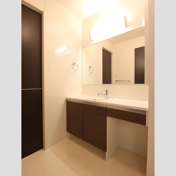 洗面所 (洗髪洗面化粧台)