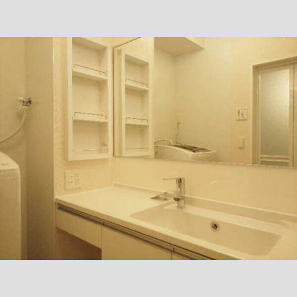 洗面所 (洗髪洗面化粧台)