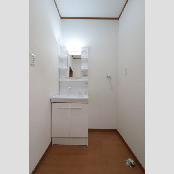 洗面所 (洗髪洗面化粧台と洗濯機置き場)