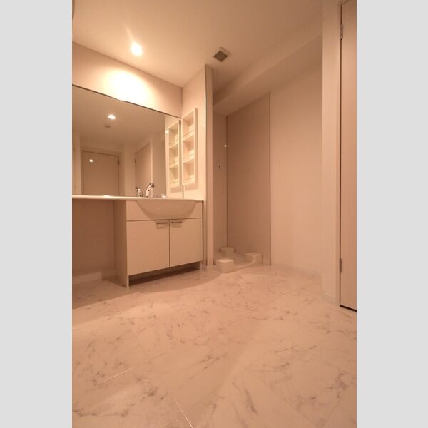 洗面所 (洗髪洗面化粧台と洗濯機置き場)