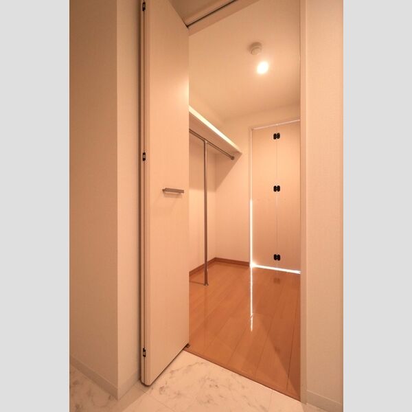 収納 (ウォークスルークローゼット)