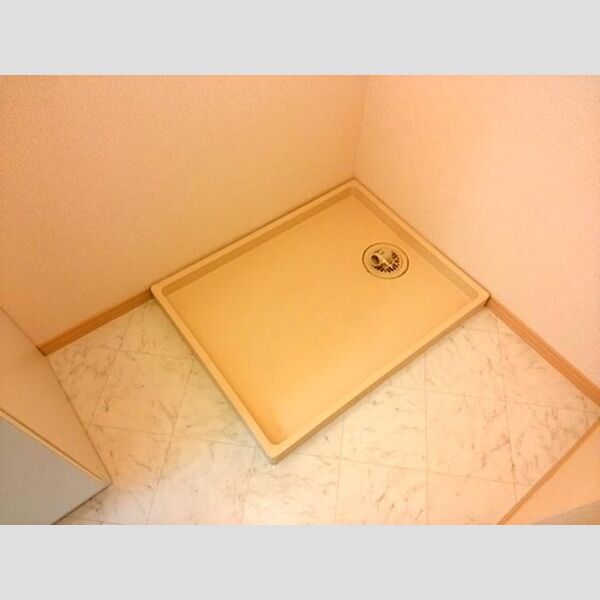 その他 (室内洗濯機置場)