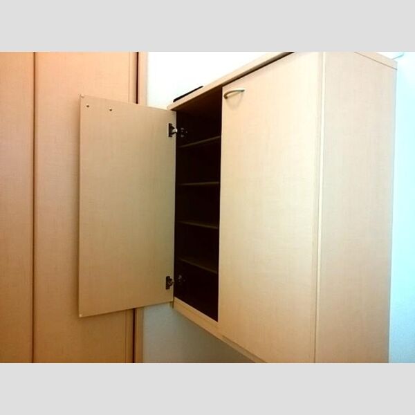 玄関 (シューズボックス(カウンタータイプ))