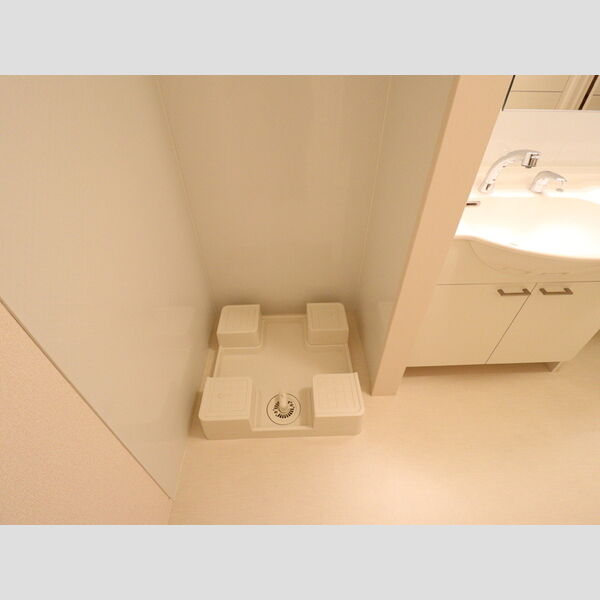 その他 (室内洗濯機置場)