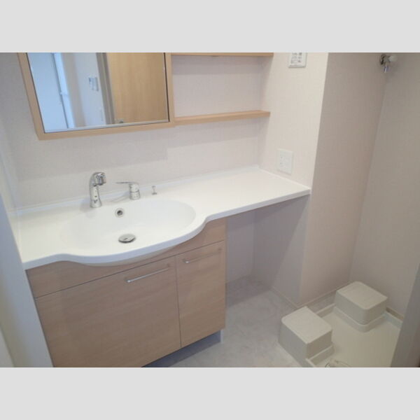 洗面所 (洗髪洗面化粧台)