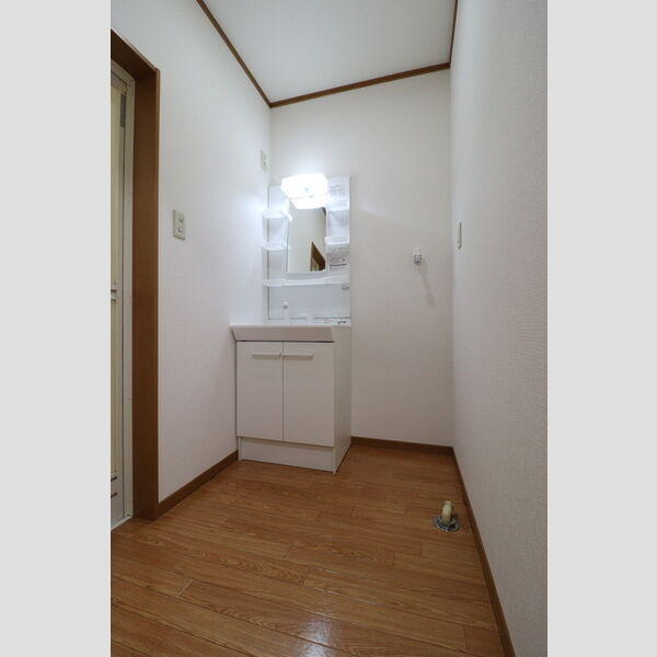 洗面所 (洗髪洗面化粧台と洗濯機置き場)