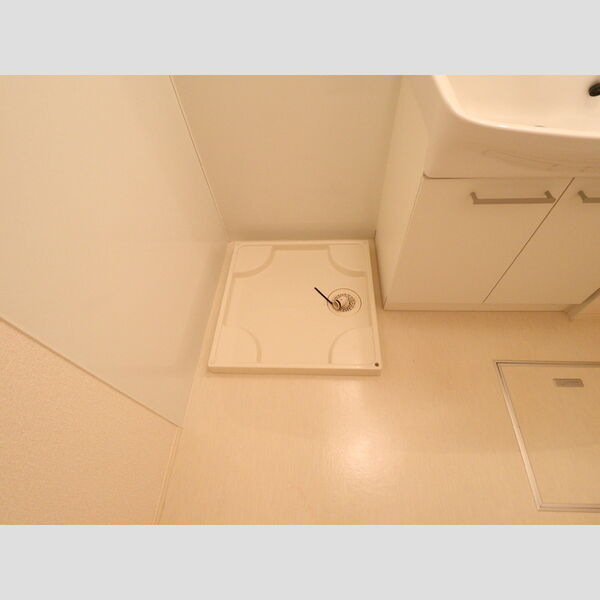 その他 (室内洗濯機置場)