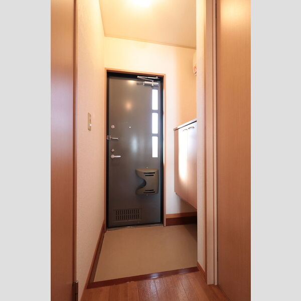 玄関 (シューズボックス(カウンタータイプ))