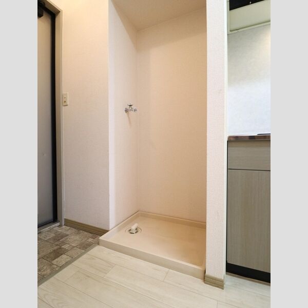 その他 (室内洗濯機置場)