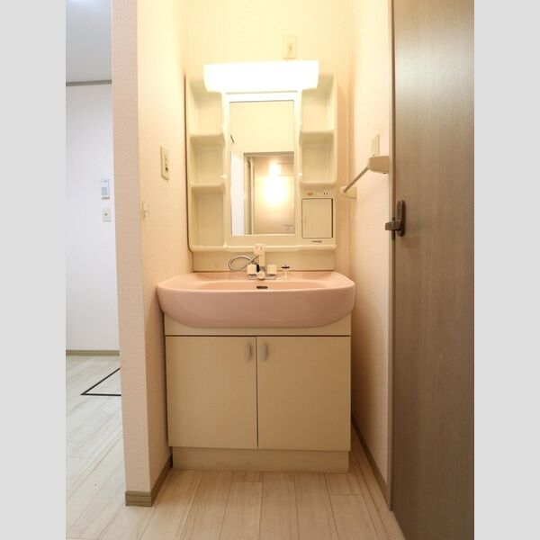 洗面所 (洗髪洗面化粧台)