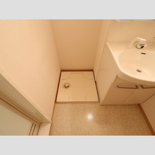 その他 (室内洗濯機置場)