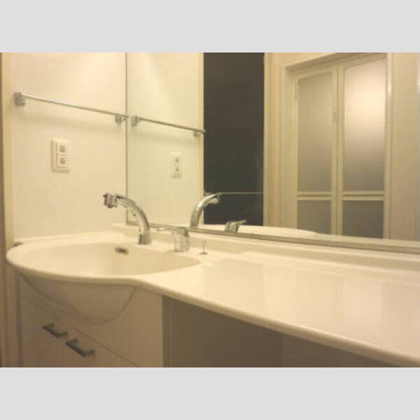 洗面所 (洗髪洗面化粧台)