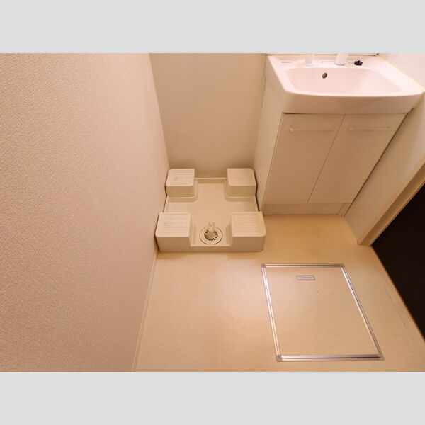 その他 (室内洗濯機置場)