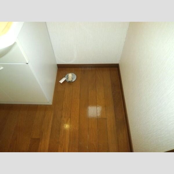 その他 (室内洗濯機置場)