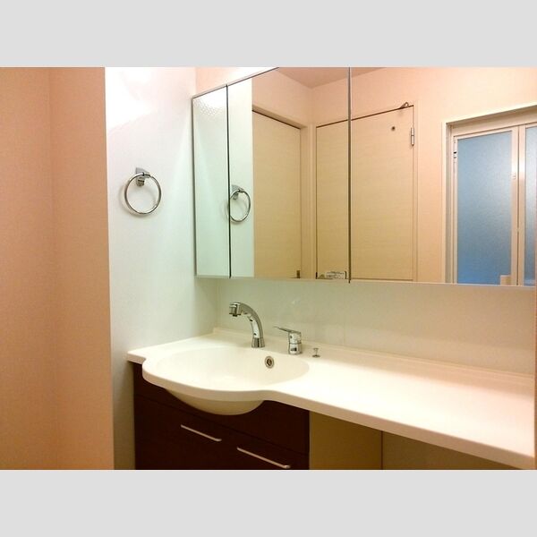 洗面所 (洗髪洗面化粧台)