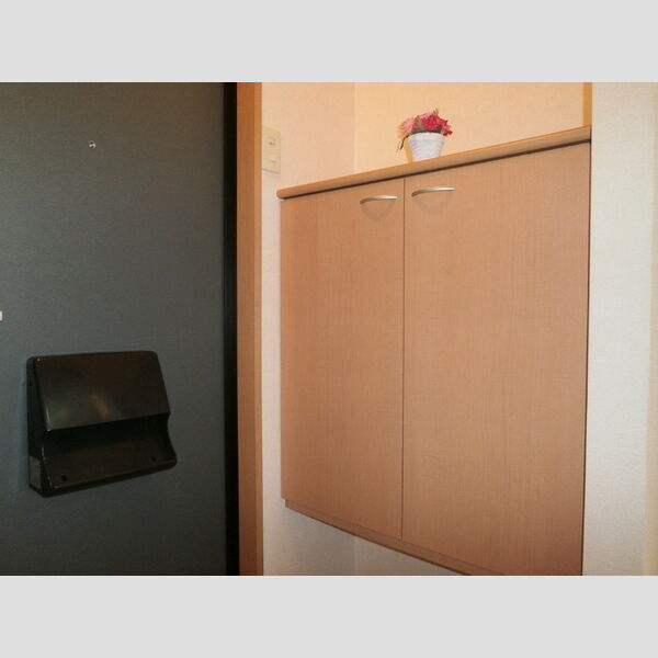 玄関 (シューズボックス(カウンタータイプ))