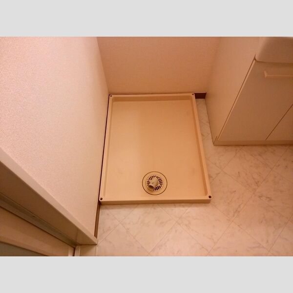 その他 (室内洗濯機置場)