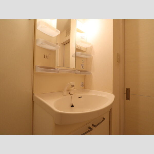 洗面所 (洗髪洗面化粧台)