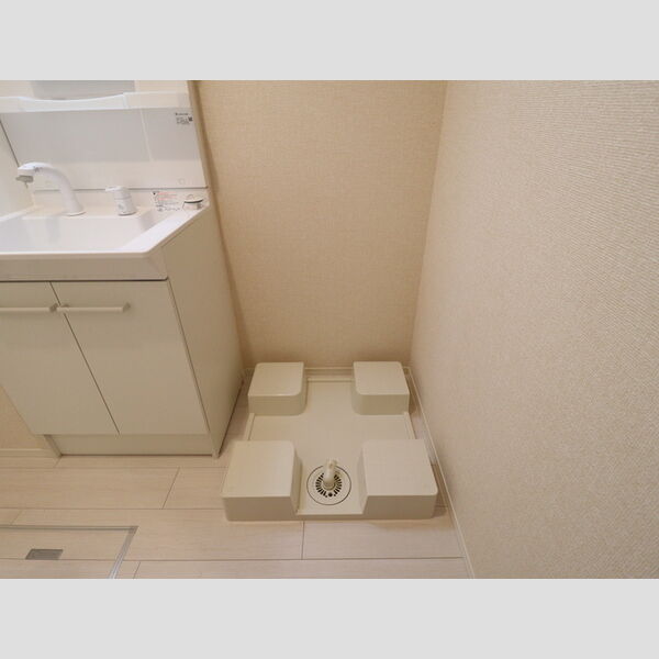 その他 (室内洗濯機置場)