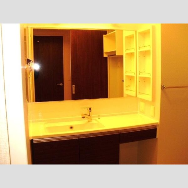 洗面所 (洗髪洗面化粧台)