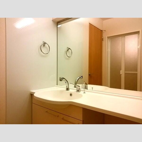 洗面所 (洗髪洗面化粧台)