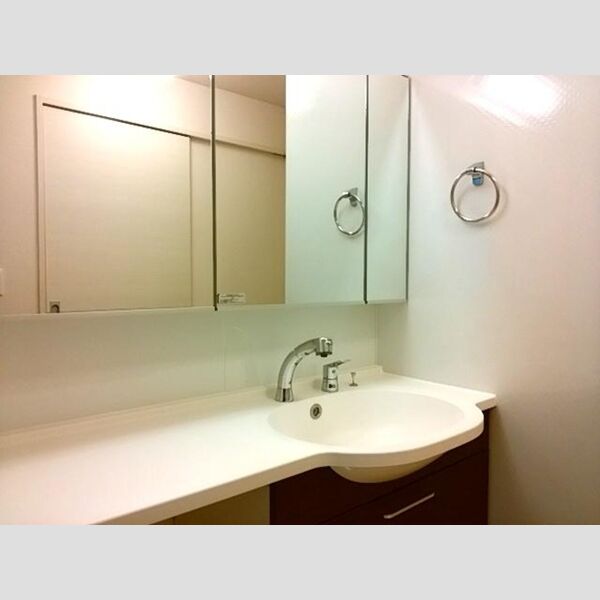 洗面所 (洗髪洗面化粧台)