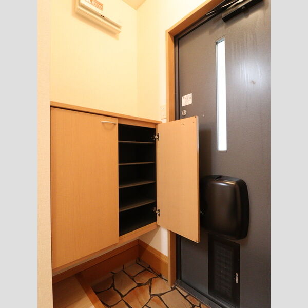 玄関 (シューズボックス(カウンタータイプ))