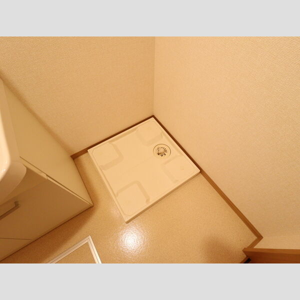 その他 (室内洗濯機置場)