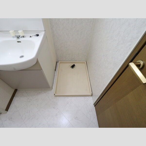 その他 (室内洗濯機置場)