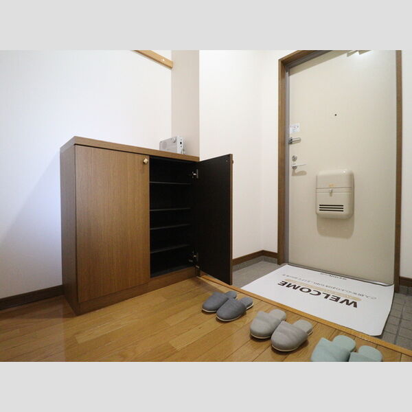 玄関 (シューズボックス(カウンタータイプ))