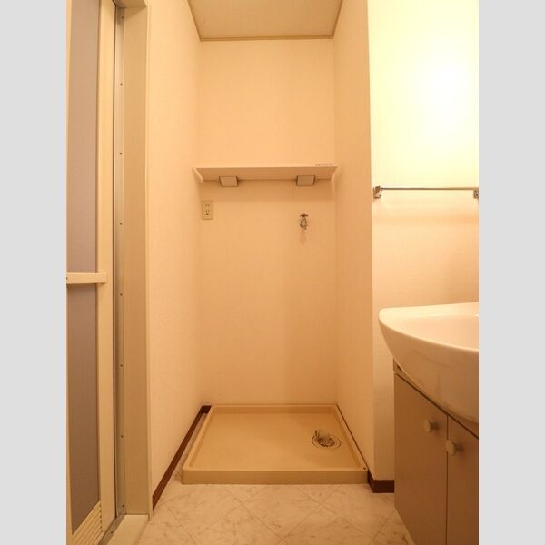 その他 (室内洗濯機置場)