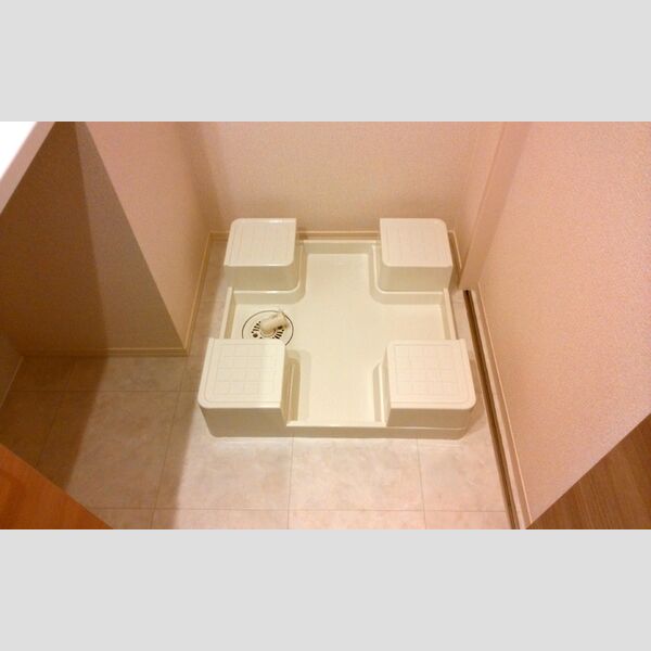 その他 (室内洗濯機置場)