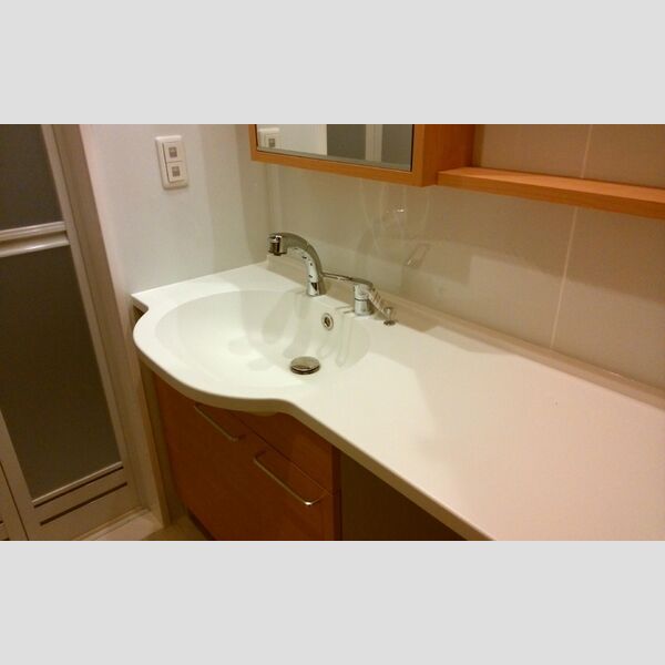洗面所 (洗髪洗面化粧台)