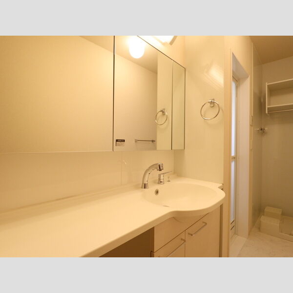 洗面所 (洗髪洗面化粧台)