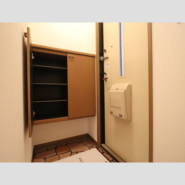 玄関 (シューズボックス(カウンタータイプ))